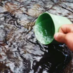 purify water in the wild