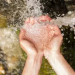 A person cups their hand to gather natural water