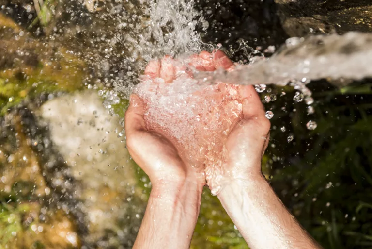 A person cups their hand to gather natural water